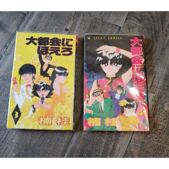Roar in the Big City Japanese Graphic Novel Book Volumes 3 and 4 Kei Kusunoki - Picture 1 of 15